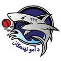 Amo Sharks