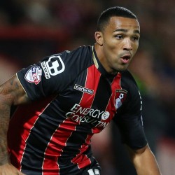 Callum Wilson Bournemouth Top Goal Scorer