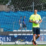 Will Ibrahimovic help Sweden to overcome Ireland next Monday?