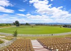 Saxton Oval