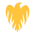 Wellington Firebirds
